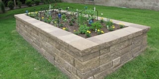 Sterling Ponds Gallery 14