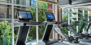 Asa Flats and Lofts Gallery 73