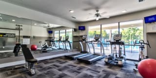 Aventura at Towne Centre Gallery 8