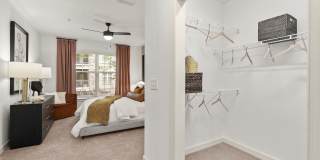 Cortland Oleander Gallery 17