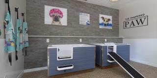 Sabal Park Apartments Gallery 30