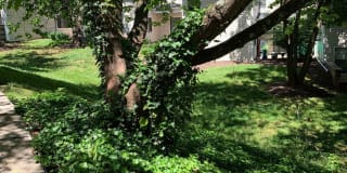 Mountain View Gallery 20
