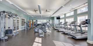 Prynne Hills Gallery 26