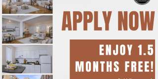 Tivoli Gardens Gallery 1