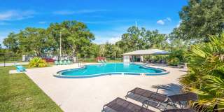 Renovated Apartment in the Heart of Carollwood Gallery 27