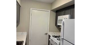 Marine Park Gallery 47