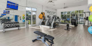 Springs at Cape Coral Gallery 17