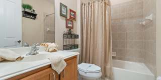 153 Evergrene Parkway Gallery 31