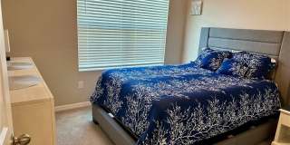 20502 Camino Torcido Loop Gallery 16