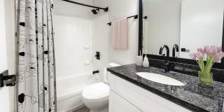 Hyde Park Flats Gallery 5