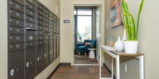 Monroe Apartments Gallery 3