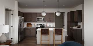 The Filmont Gallery 12