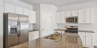 Poplin Trace Gallery 19