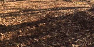 6026 Coltswood Court Gallery 37