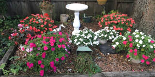 1162 Sandhurst Drive Gallery 17