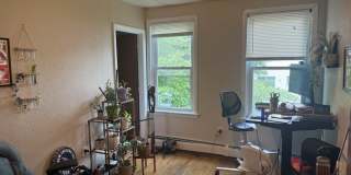 264 Belmont St 264 Belmont St Gallery 10