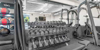 Zephyr Gallery 14