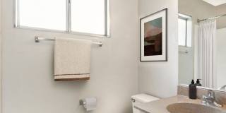 AVA Burbank Gallery 24