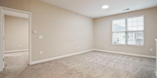 5137 Foxtail Pine Street Gallery 15