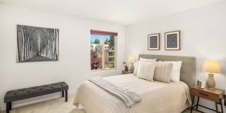 Top Floor Queen Anne Unit! (Beautiful views & 3 Parking Spaces) Gallery 22