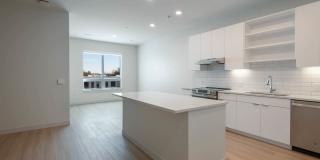 The Basin Gallery 28