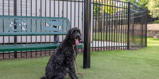 Avalon Perimeter Park Gallery 29