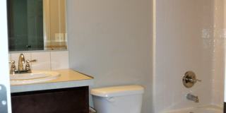 Beautiful new 3 bed 2 bath home in a quiet Star neighborhood. Gallery 22