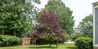 249 County Street Gallery 12