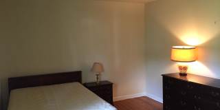 41 GARRETT Avenue Gallery 10