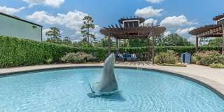 Montabella at Oak Forest Apartments Gallery 2