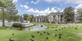 Stillwater Apartments Gallery 14