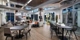 3698 vision cmn Gallery 19