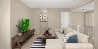 Linden Court Gallery 13