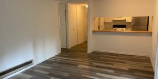 2159 Shelter Creek Lane Gallery 3