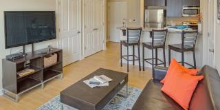 Irish Flats Gallery 11