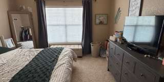 Fantastic!  Light and Bright!  1 bed + loft - 1 bath Gallery 24