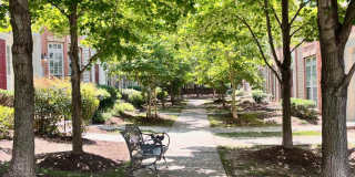 5605 HARRINGTON FALLS Lane Gallery 2