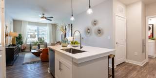Bainbridge Cary Gallery 14