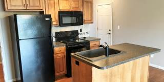 3D Tour Available - 1-Car Garage + Back Patio + LVT Flooring! Available July 3rd! Gallery 1