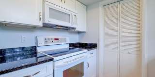 Sunny & Renovated 2BR 1BA in NW DC McLean Gardens Oasis! Gallery 15