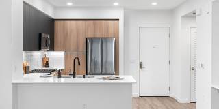 Orlo & Alba Gallery 50