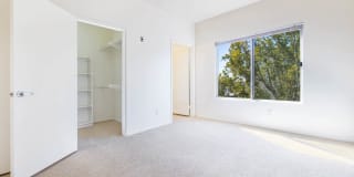 Park West Gallery 15