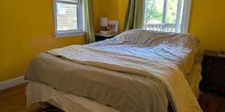 1bed in Kendall Square Gallery 5