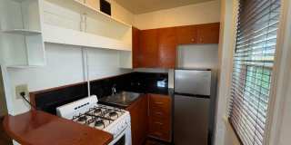 One Bedroom Apartment in Belhaven Gallery 35