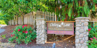 Chelsey Lane Gallery 1