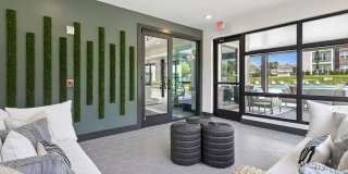 Ascend at Carlton Gallery 41