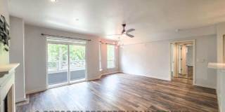 925 110th Ave NE Gallery 16