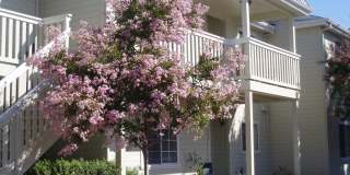 Beautiful Upstairs 2 Bedroom 1 Bath Apartments Available Now!! Gallery 1