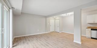 ReNew Odenton Gallery 28