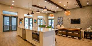 Lakeside Walk Gallery 11